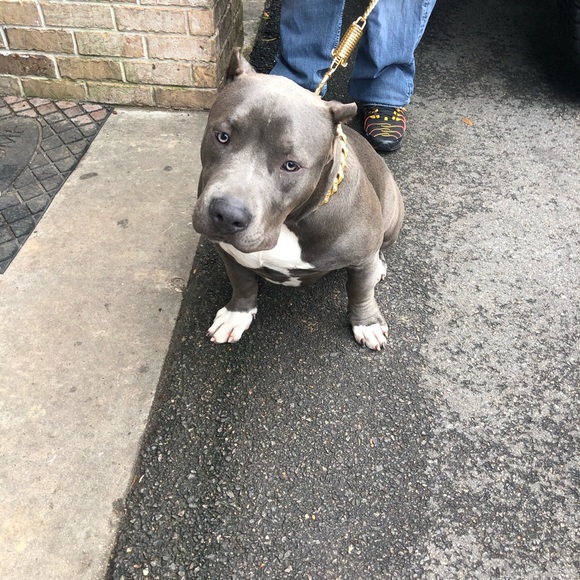 Meet your Posher, Daniel - Picture 1 of 1